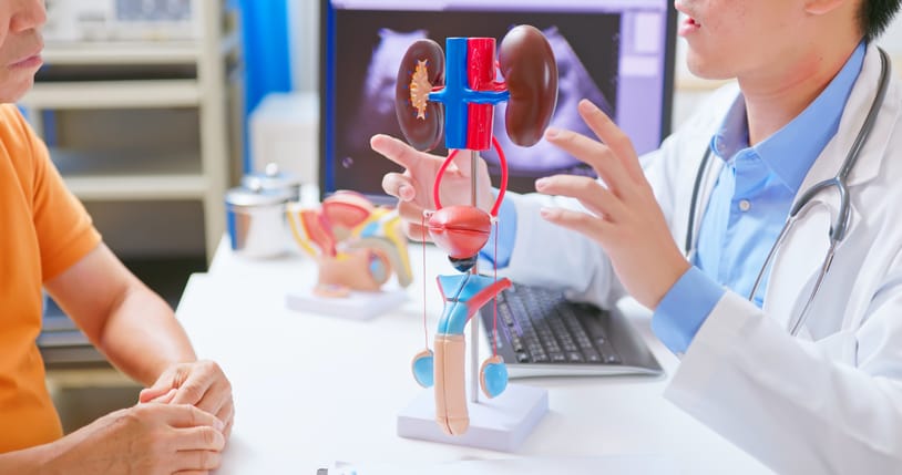 Photo shows a doctor talking to a patient in a urology clinic using a urinary system model/Getty Images
