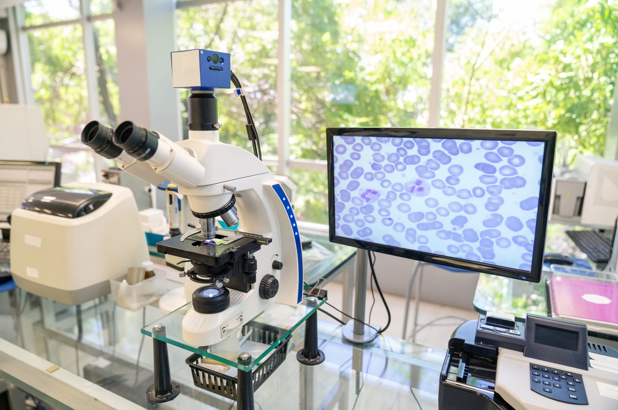 Monitor in a medical research laboratory